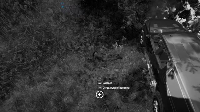 FarCry 5 - медведь и его полет #gaming #игры #memes #мем смотреть онлайн