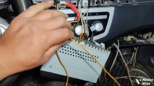 Обзор и полная установка усилителя DL Audio Gryphon Pro v.2 4.150