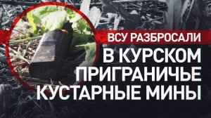Напечатаны на 3D-принтере: сапёры рассказали о найденных в приграничье украинских кустарных минах