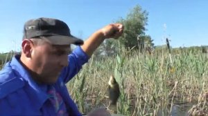 Рыбалка на поплавок с лодки в камышах. My fishing