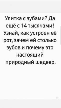 Сколько зубов у улитки? Факт за фактом