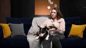 Бультерьер: все о породе, плюсы и минусы — шоу «Ожидан?