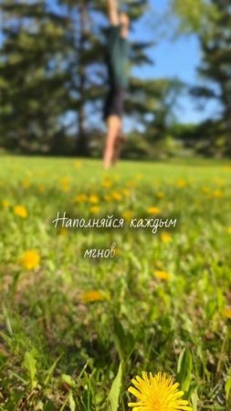 Дыши | ЙогаБанда