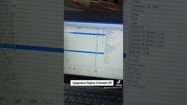 Тойота Камри 30, троит ,  дымит, повышенный расход, диагн