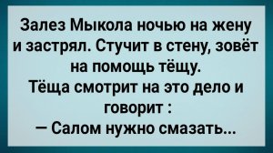 Залез Мыкола На Жену и Застрял! Сборник Свежих Анекдотов! Юмор!