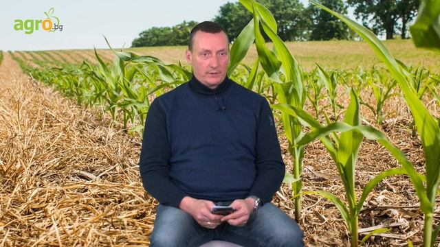 Консервационното земеделие не е включено в своята цял