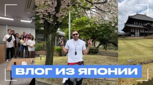 Почему японцы настолько эффективны | путешествие в Японию с предпринимателями