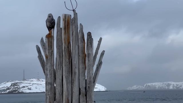 Невероятные приключения Любителей ЗОЖ в Мурманске. Мурманский марафон.