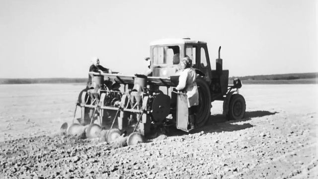 Семеноводство и технология производства картофеля, 197 смотреть онлайн