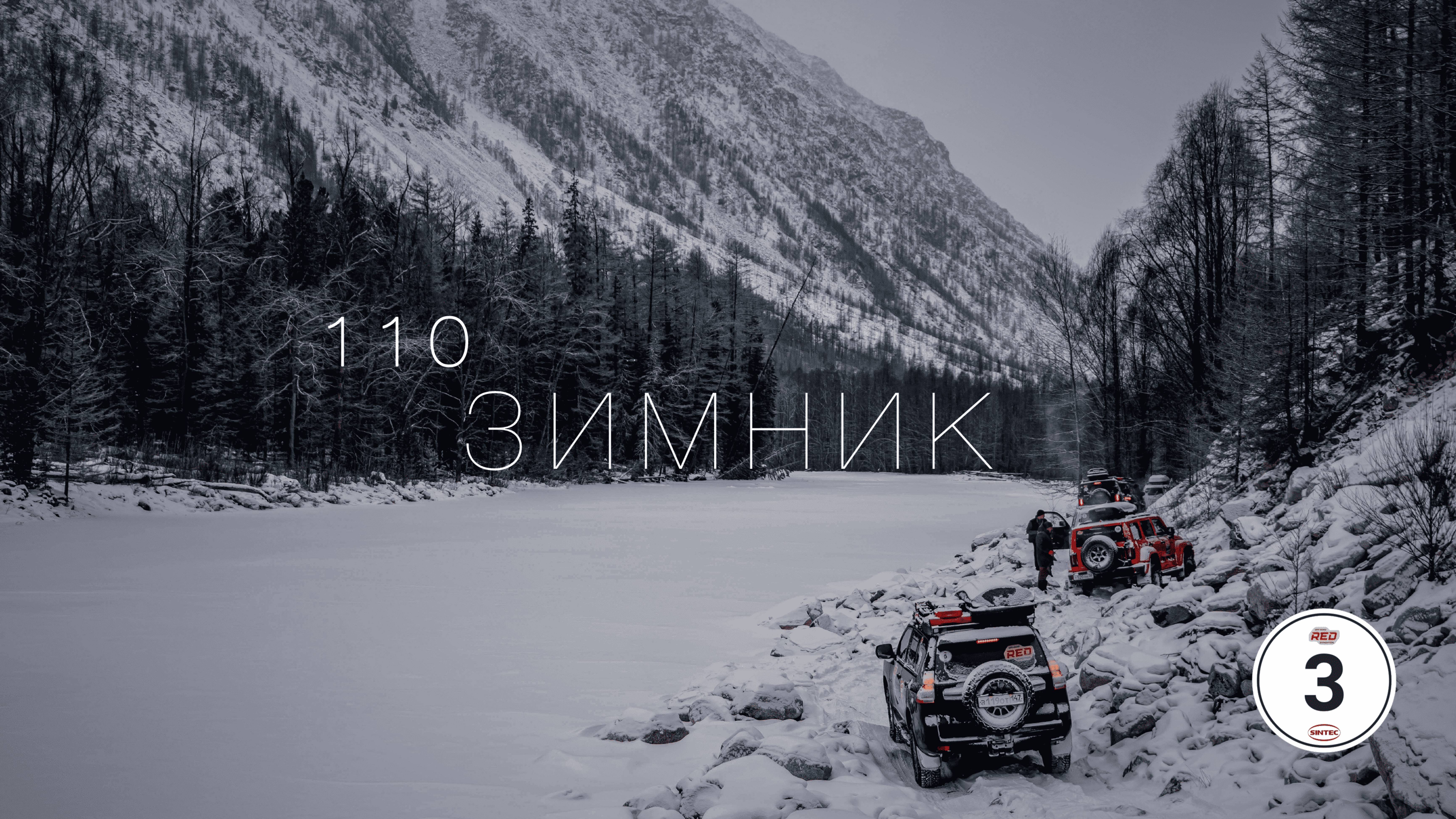 110 ЗИМНИК. 