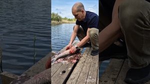 Финский нож от компании "Стальные бивни" https://steeltusks.ru/fin