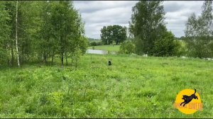 Высыл через водное пространство по диагонали
