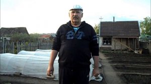 Высаживаю баклажаны