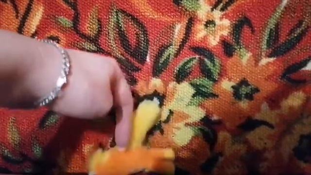 #short ахаха коша,#кошки релакс,#прикол#
