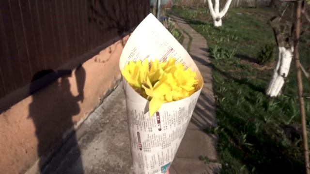 Октябрьская стрит, я не умею на скейте смотреть онлайн