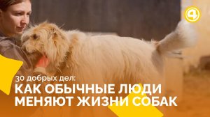 Волонтёр Евгения Орлова меняет жизни собак каждую неделю