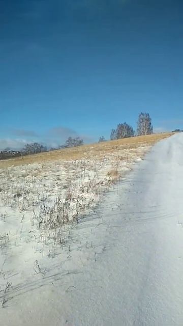 СОЛНЦЕ. СНЕГ. МОРОЗЕЦ. ОТЛИЧНАЯ ПОГОДА,  ПРИРОДА РАДУЕТ! #shorts