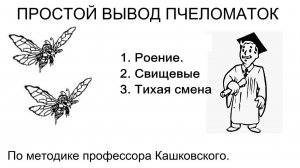 Вывод пчелиных маток на приусадебной пасеке по методу Кашковского