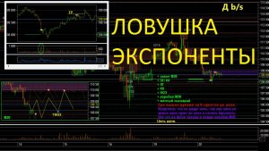 Трейдинг. Ловушка экспоненциального роста.