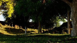 Blender Grovescape - Forest Generator For Blender