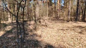 ✅🔥Петарда КОРСАР 12 vs Корсар 16💥100 Взрывов под Кастрю?