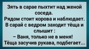 Как Зять в Сарае Жену Соседа Обесчестил! Сборник Свежих Анекдотов! Юмор!