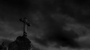 12148271-hd_1920_1080_25fps