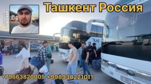 Ташкент Москва Автобус 🚌 Россия Узбекистан автобус #?