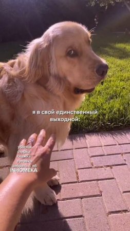 Хочешь получить товары нашего бренда бесплатно? Читай в описании