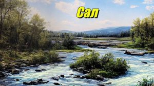 Сал