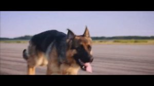 Клип к фильму "Пальма"