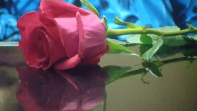 ШОПЕН ВАЛЬС № 1 смотреть онлайн