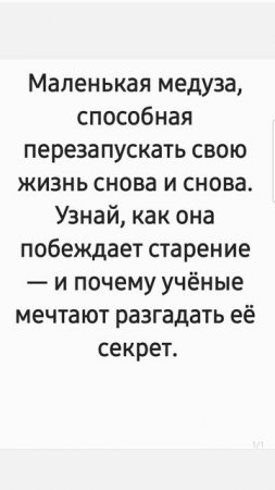 Способна ли медуза перезапускать свою жизнь? Факт за фактом
