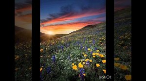 Подари себе радость