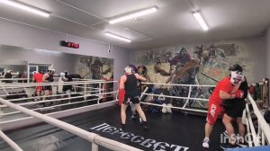 спарринги в Пересвет Реутов 🥊👌