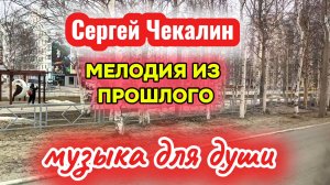СЕРГЕЙ ЧЕКАЛИН. Мелодия из прошлого. Красивая инструментальная музыка для души.