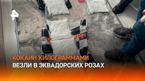 Таможенники обнаружили более 15 кг кокаина, спрятанного среди роз из Эквадора