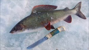 Финские ножи Алексея Мельницкого