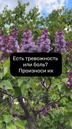ЛУЧШАЯ практика исцеления! #женскиепрактики #женскаяэнергия #силасознания