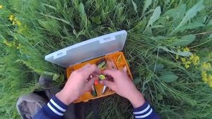 ловля щуки в июне