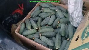 Крым. Рынок Желябовка , обзор цен на 03.05.2025