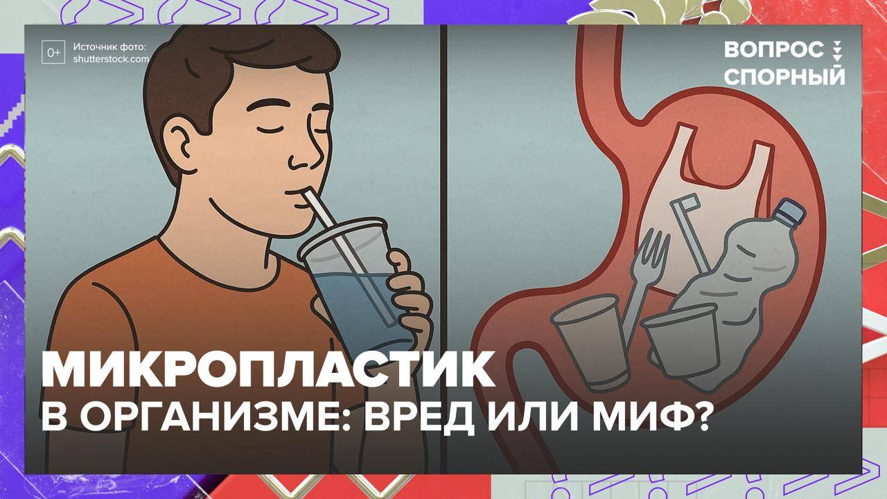 Микропластик обнаружили в мозге человека|Вопрос спорный — Москва 24|Контент