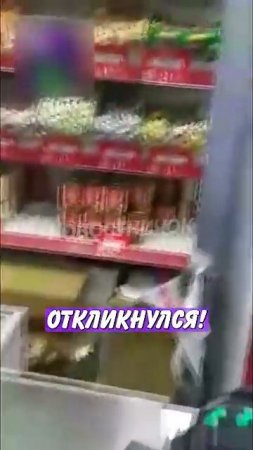 Новостничок (511)