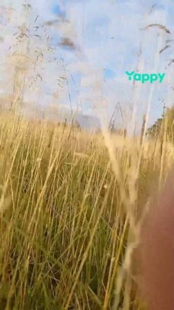 ПРИРОДА ДАЕТ СИЛЫ