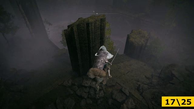 Elden Ring Shadow of the Erdtree - Весь прах славного духа (Гайд)
