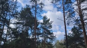 "Несерьезный сотрудник" в работе по найму