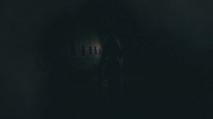 12291839-hd_1920_1080_24fps