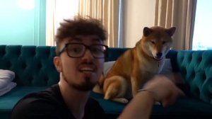 25 ФАКТОВ О СОБАКЕ ЭДИСОНА💖🎄🌹|фан компота🎄