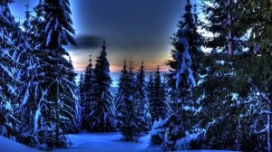 Еловый лес зимой. Щелкунчик. Петр Ильич Чайковский.