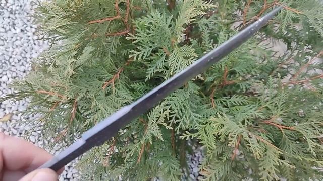 Клинок мозаичный дамаск "A13" смотреть онлайн